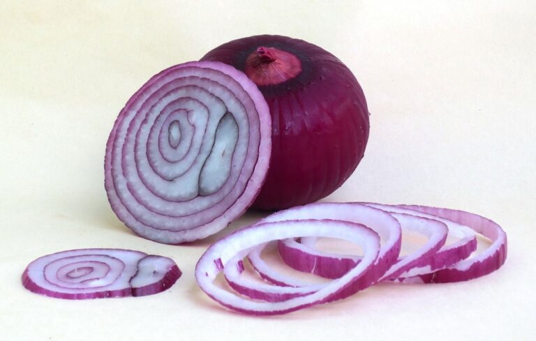 Cebolla