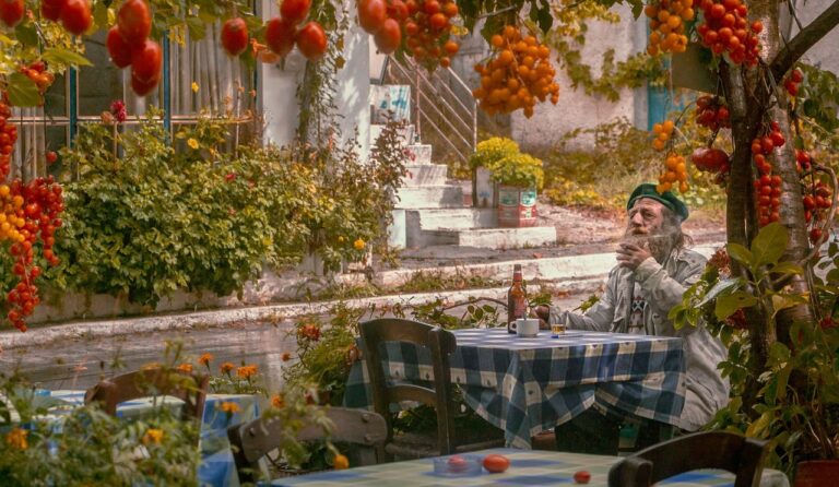 Tomate - Guía de cultivo