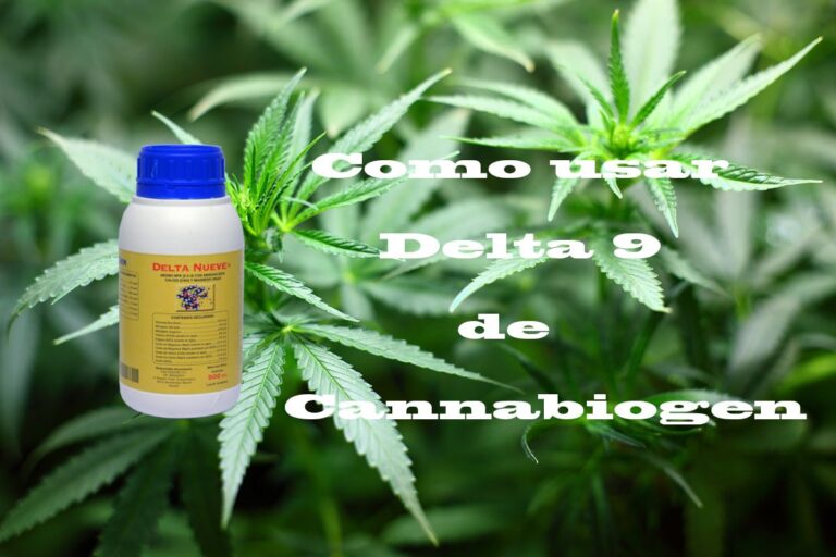 Como usar Delta 9 de Cannabiogen