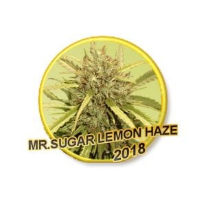 Mr. Sugar Lemon Haze