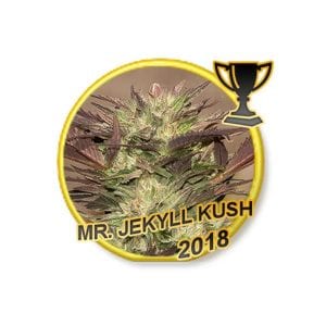 Mr Jekyll Kush