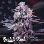 Semillas de marihuana Gealato Kush