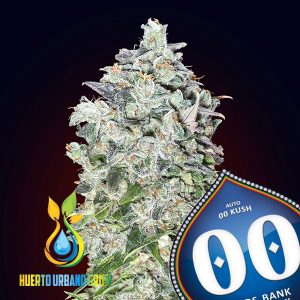00 Kush Auto