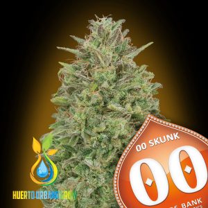 00 Skunk