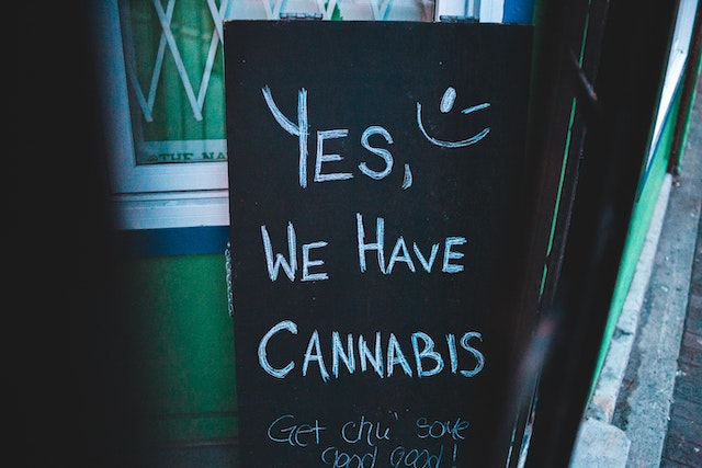 El Ascenso de la Marihuana Legal