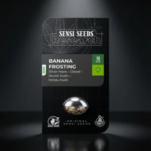 Banana Frosting Sensi Seeds Research