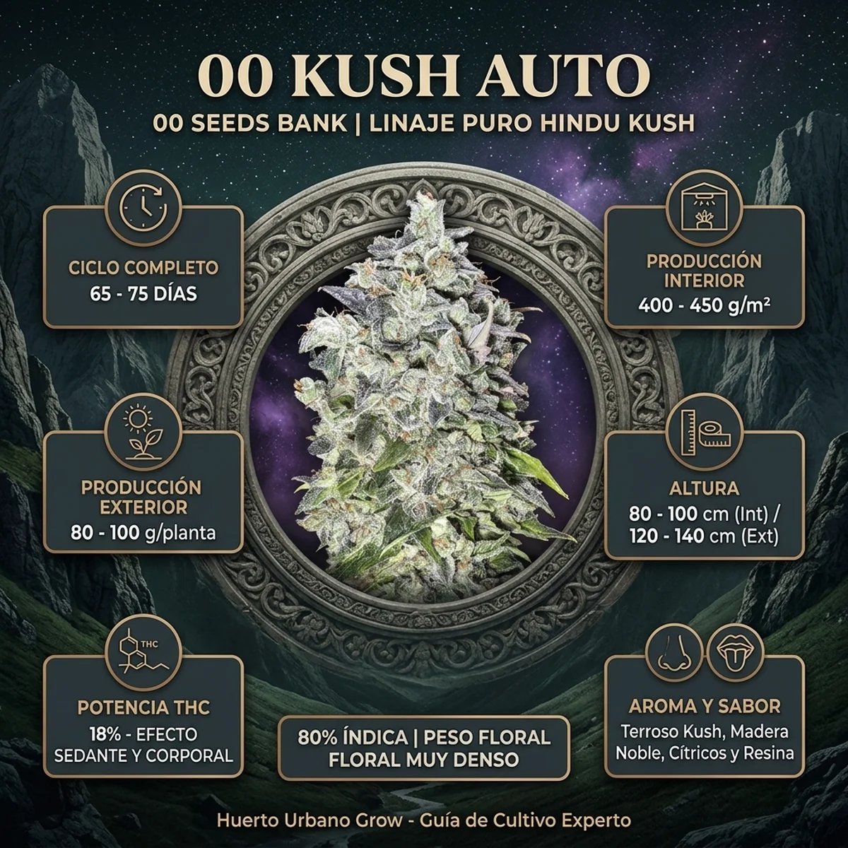 Infografía oficial de 00 Kush Auto de 00 Seeds en Huerto Urbano Grow