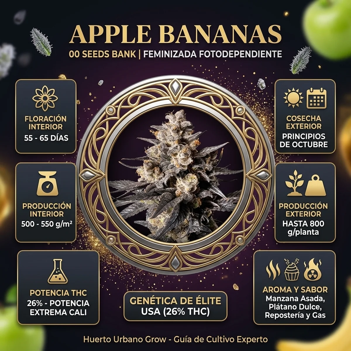 Infografía oficial de Apple Bananas de 00 Seeds en Huerto Urbano Grow