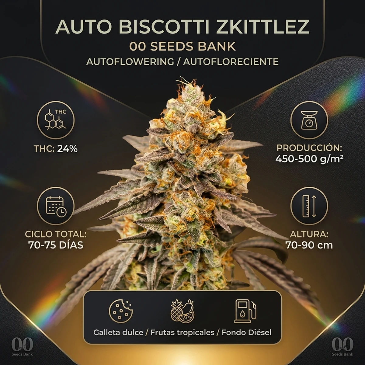 Infografía oficial de Auto Biscotti Zkittlez de 00 Seeds en Huerto Urbano Grow