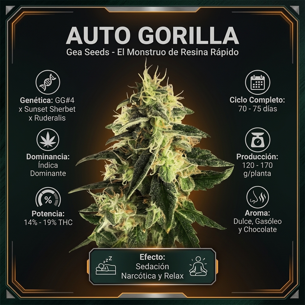 Infografía botánica y técnica de Auto Gorilla de Gea Seeds