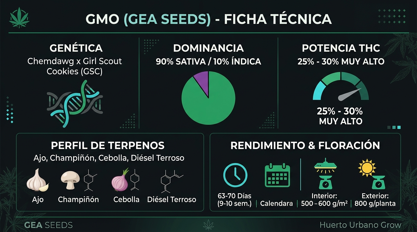 Infografía con características, potencia de 30% THC, floración y perfil de terpenos de la semilla GMO de Gea Seeds