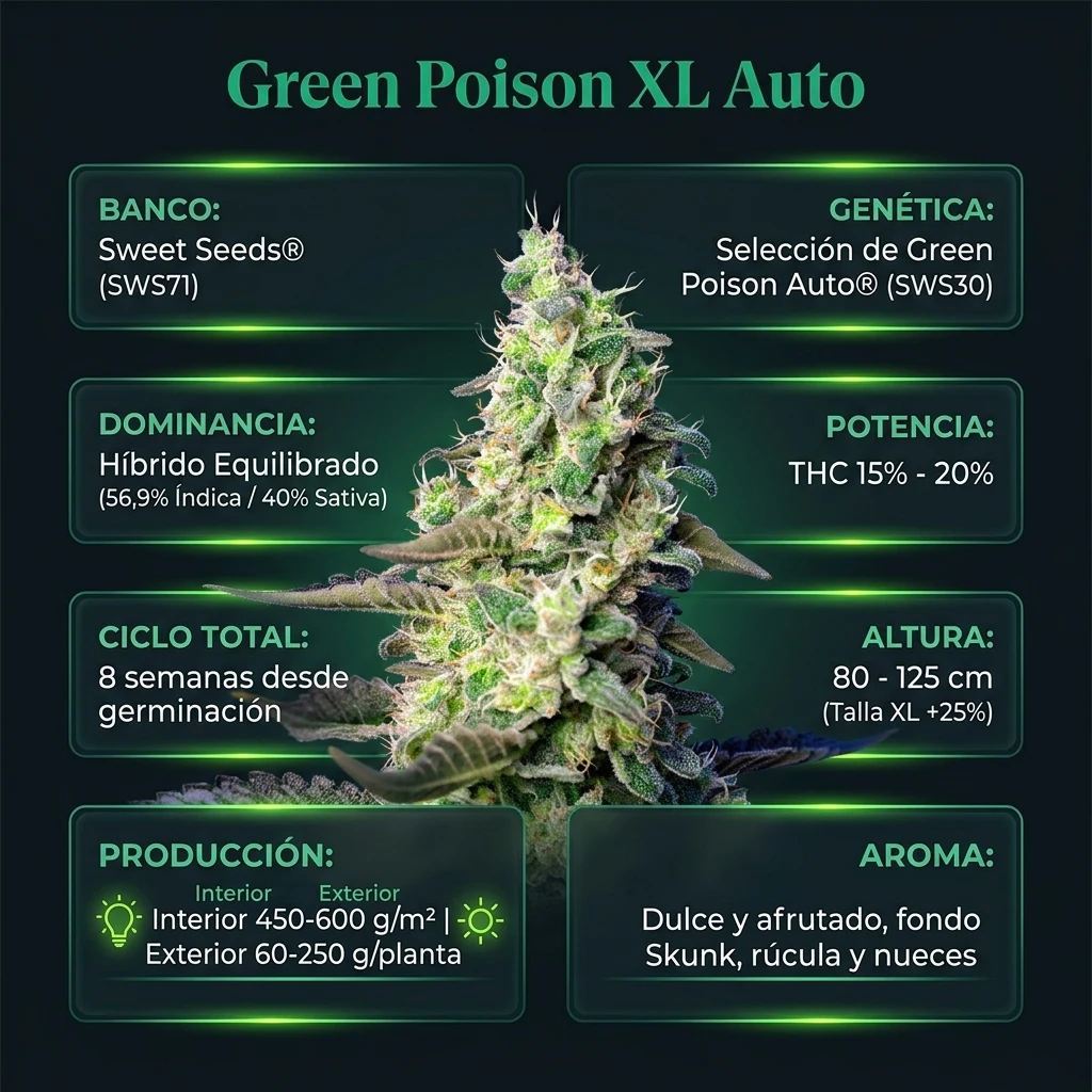 Infografía Técnica Green Poison XL Auto Sweet Seeds Huerto Urbano Grow