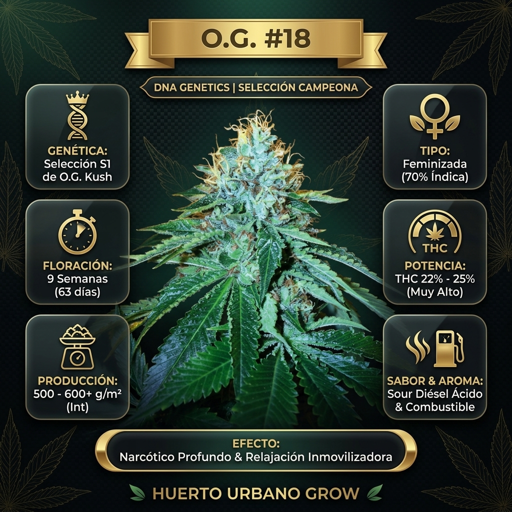 Infografía botánica oficial de O.G. #18 The OG 18 de DNA Genetics con datos técnicos de floración, potencia THC y premios Spannabis